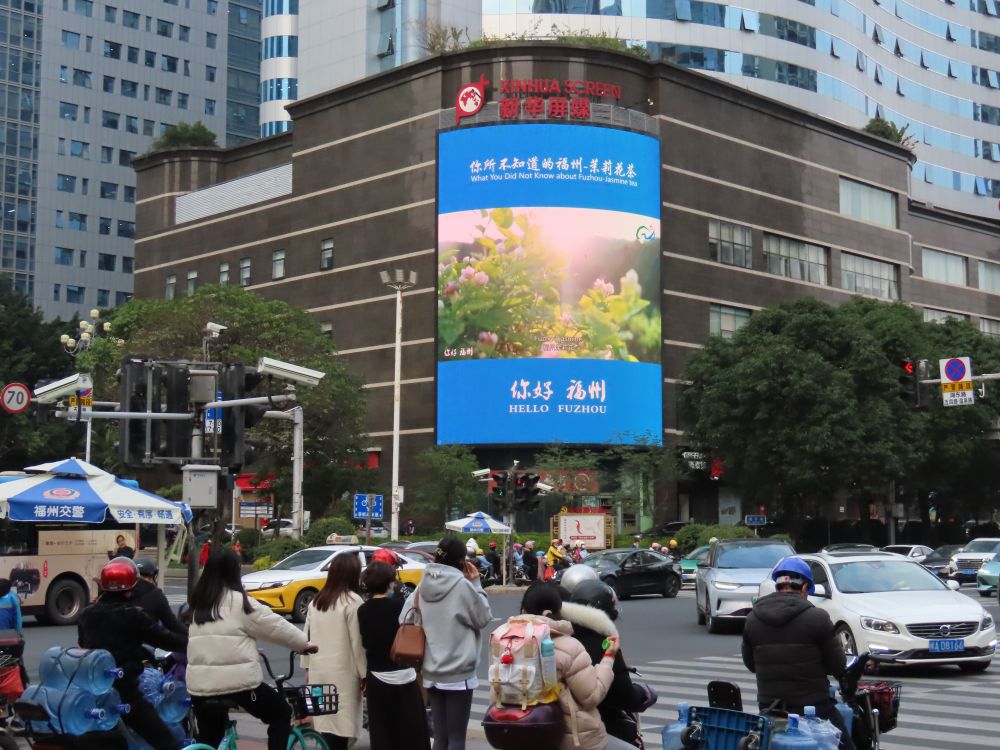 福州茉莉花茶 福州茉莉花茶