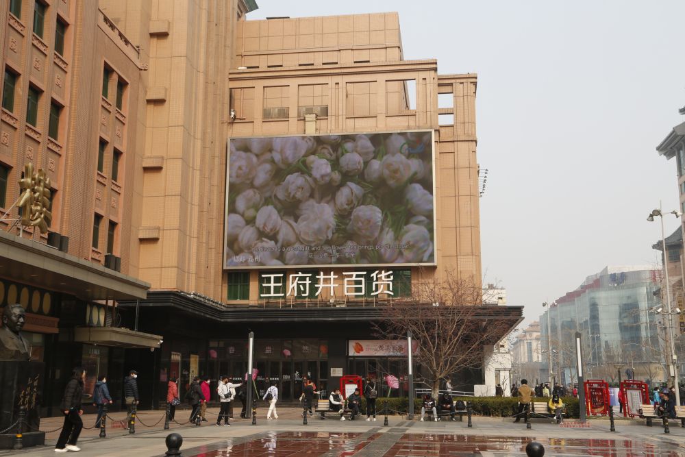 福州茉莉花茶 福州茉莉花茶