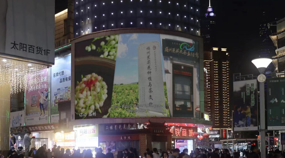福州茉莉花茶 福州茉莉花茶