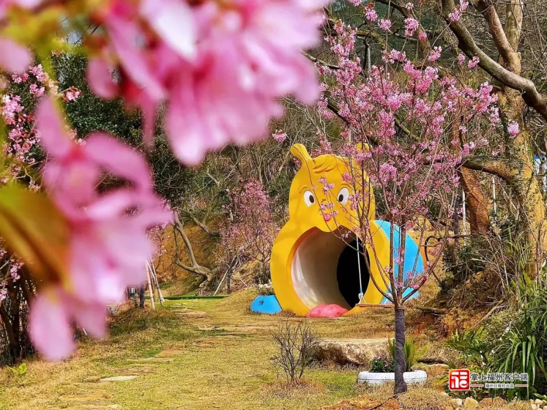 福州:因地施策 农文旅深度融合