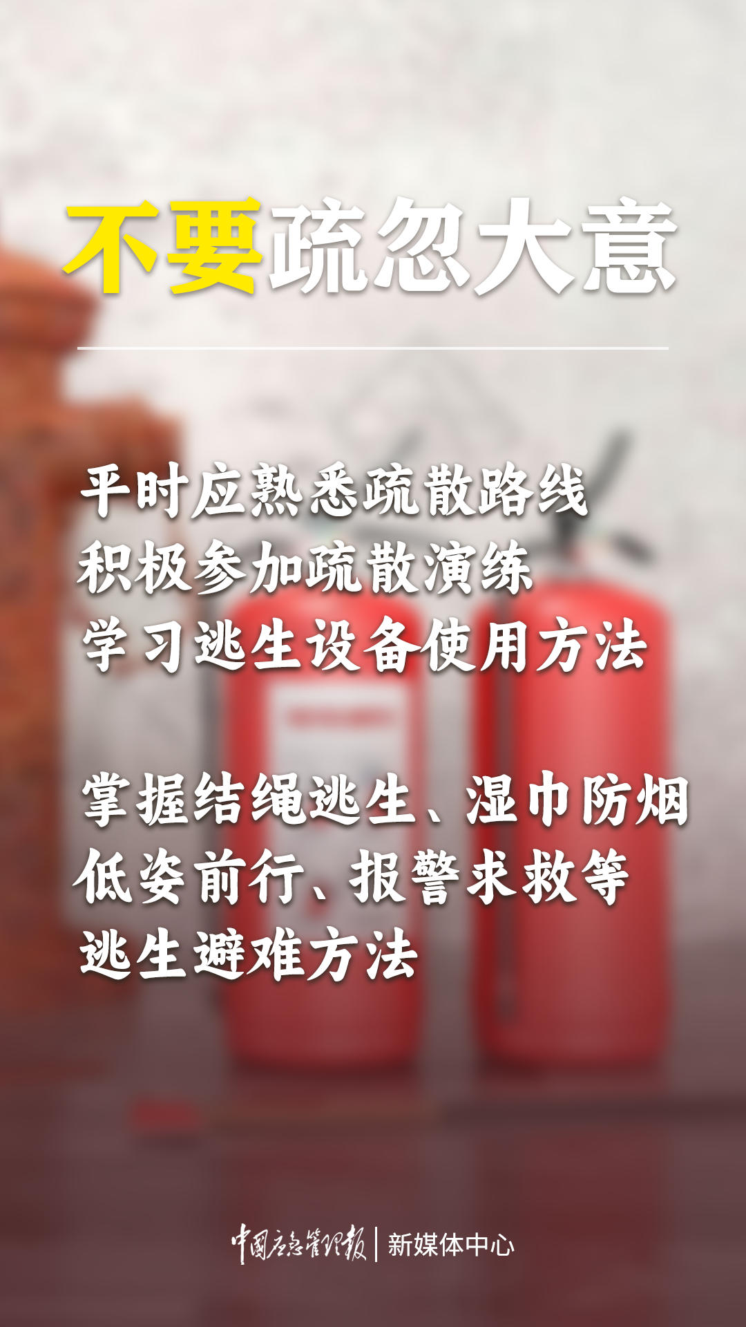 图片7