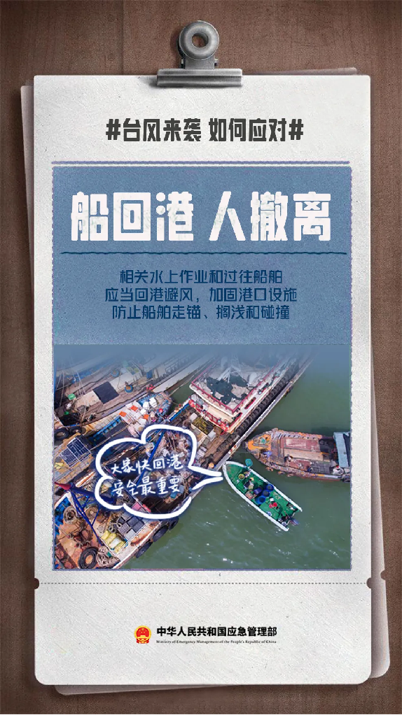 双台风来袭,该如何做好防范应对?313