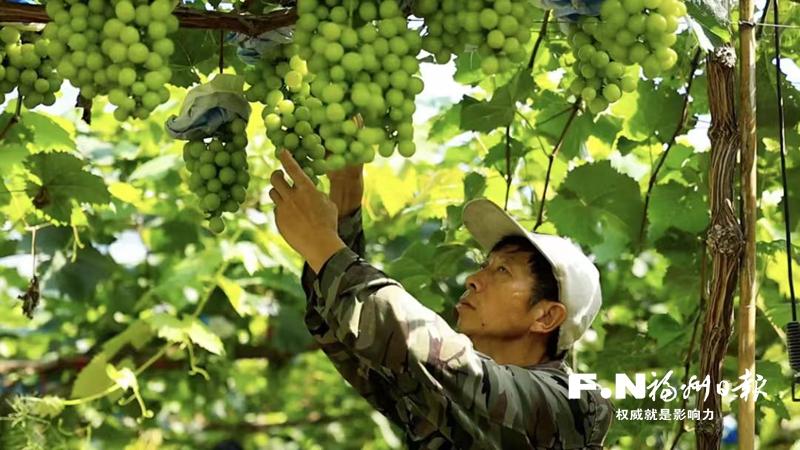 罗源凤山方厝村3万斤 罗源凤山方厝村3万斤